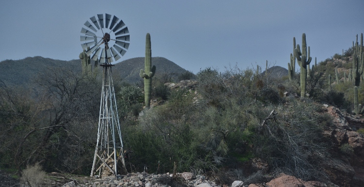 windmill